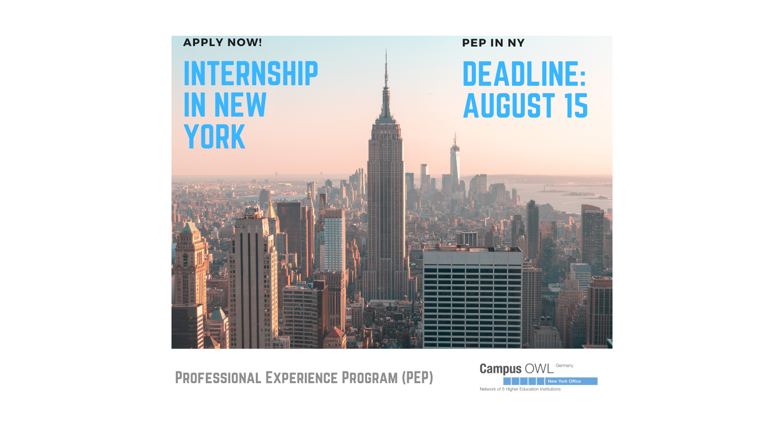 PEP Professional Experience Program Apply Now